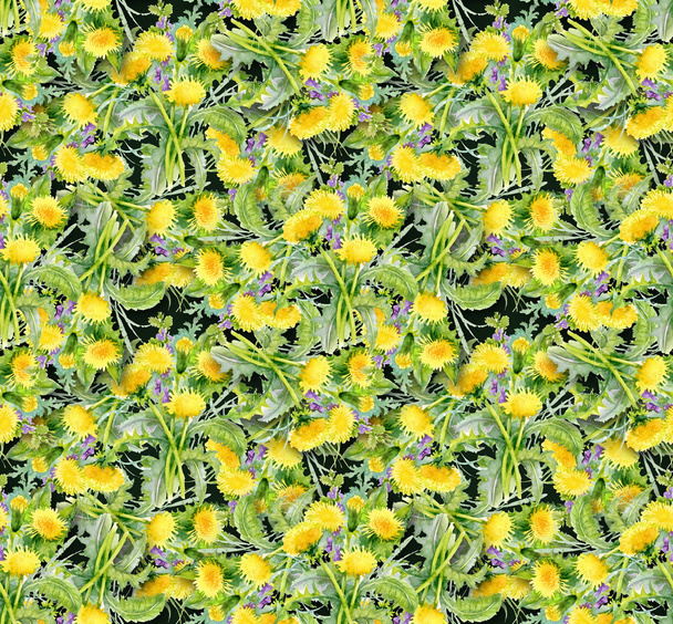 Dandelion background - Valokuva, kuva