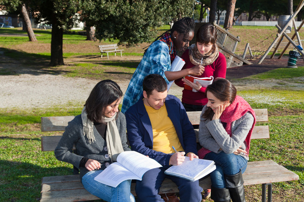 College Students Studying Together at Park - Valokuva, kuva