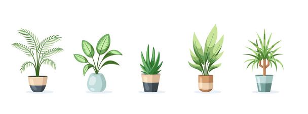 Conjunto de plantas caseras en macetas aisladas sobre fondo blanco en estilo plano. Ilustración vectorial - Vector, Imagen