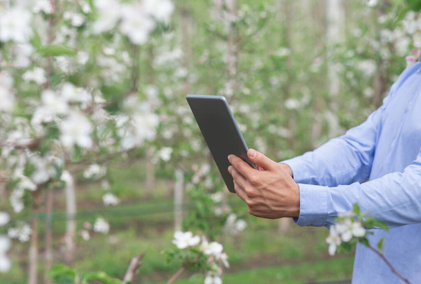 Блогер, владелец, садовник или фермер работает с устройством в цветущем саду - Фото, изображение