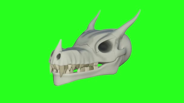 Crâne de dragon, animation, fond vert - Séquence, vidéo