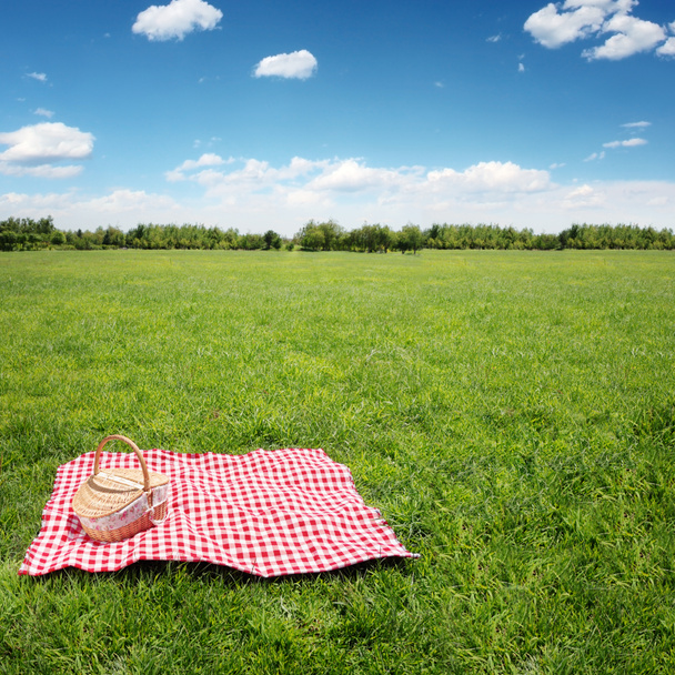 Outdoor picnic - Photo, Image