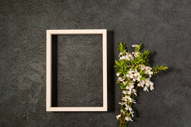 spring background with fresh flower on black - Foto, Imagem