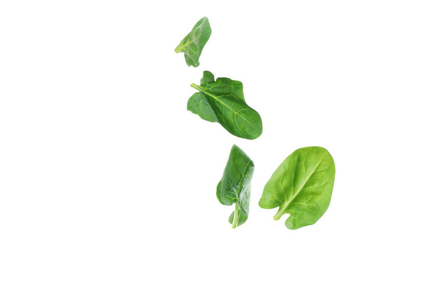 Fresh spinach leaves isolated on white background - Foto, immagini