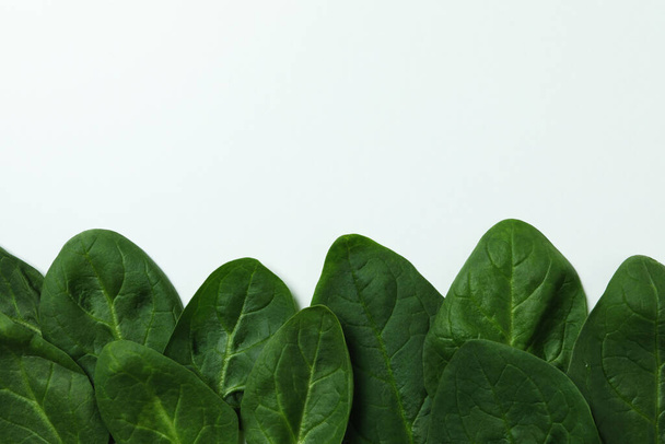 Fresh raw spinach leaves on white background - Fotografie, Obrázek