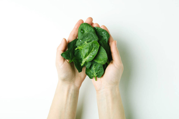 Le mani femminili tengono foglie di spinaci su sfondo bianco - Foto, immagini