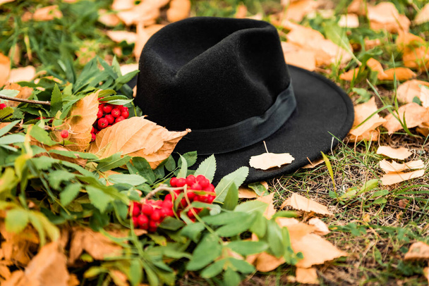 Black hat. Background of green grass and red berries. Beautiful photo. - Photo, image