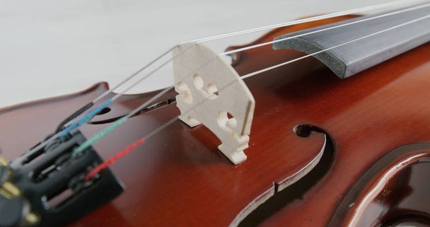 Cuerda de violín y puente de cerca - Foto, Imagen