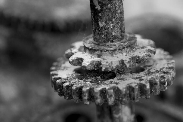 black and white rusty gear - Photo, Image