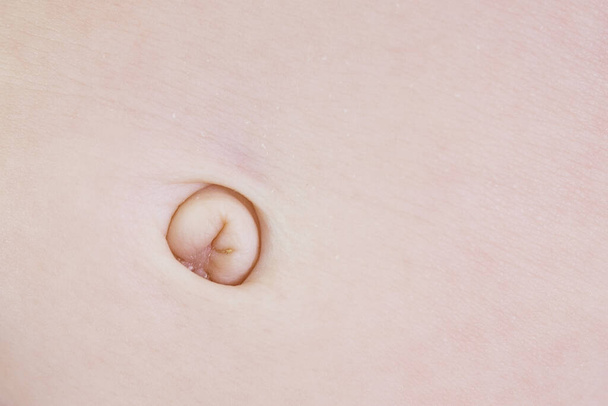 Healthy navel of a newborn. Healed. Close up. One month after birth. Caucasian. - Photo, Image