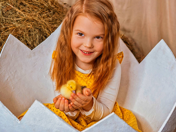 Little red-haired girl with hay with ducklings - Fotografie, Obrázek