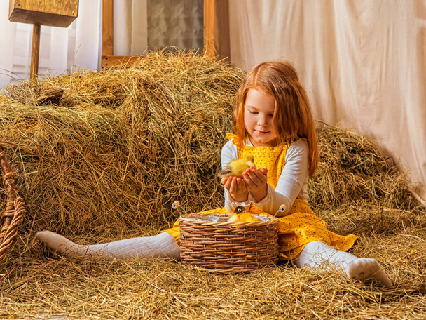 Little red-haired girl with hay with ducklings - Zdjęcie, obraz