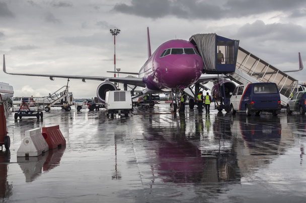 紫色の飛行機 - 写真・画像