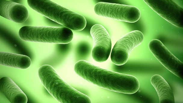 Bakterien auf grünem Hintergrund. Prokaryotische Mikroorganismen. Bazillus. 3D-Illustration. - Foto, Bild