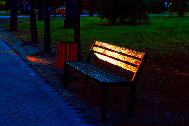 Bench in het avondpark met lichtreflectie in de beschilderde planken. Geen mensen in het park.  - Foto, afbeelding