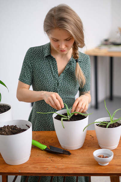 Menina transplantando plantas em casa em vasos brancos - Foto, Imagem