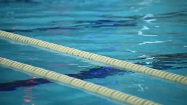 Swimming Pool Lanes. Lane divider, pool marker lines. Line dividers pool - Footage, Video