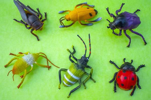 Brinquedos de insetos plásticos no fundo da cor - Foto, Imagem