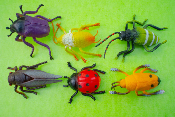 Jouets d'insectes en plastique sur fond de couleur - Photo, image