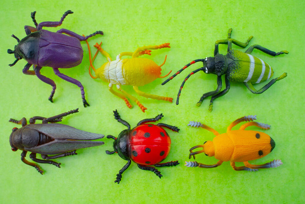 Juguetes plásticos de insectos sobre fondo de color - Foto, Imagen