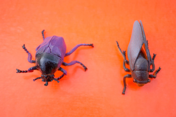 Plastový hmyz hračky na barevném pozadí - Fotografie, Obrázek
