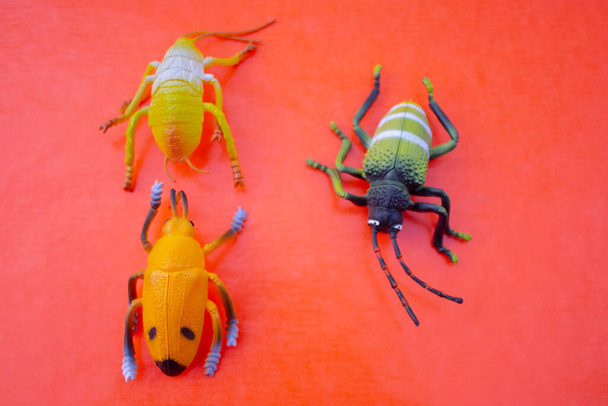 Brinquedos de insetos plásticos no fundo da cor - Foto, Imagem
