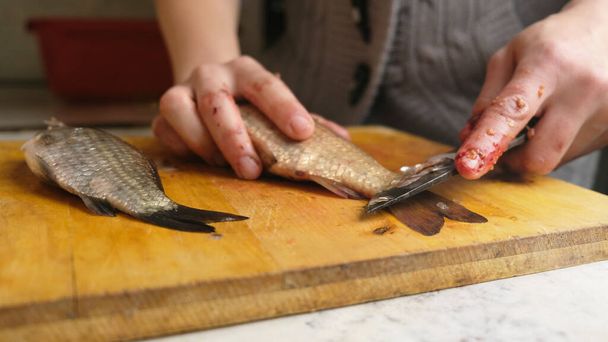 czyszczenie ryb słodkowodnych, rzeźnictwo karpia nożem - Zdjęcie, obraz