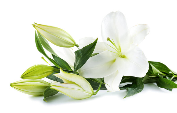Krásné lilie květiny na bílém pozadí - Fotografie, Obrázek