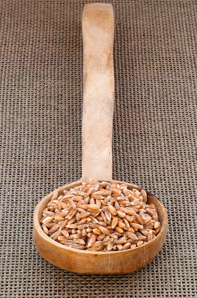 Dinkel buğday - Fotoğraf, Görsel