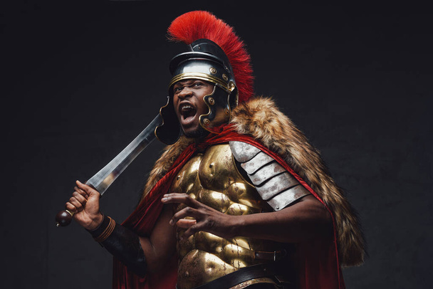 Screaming roman soldier with fur and sword - Photo, Image