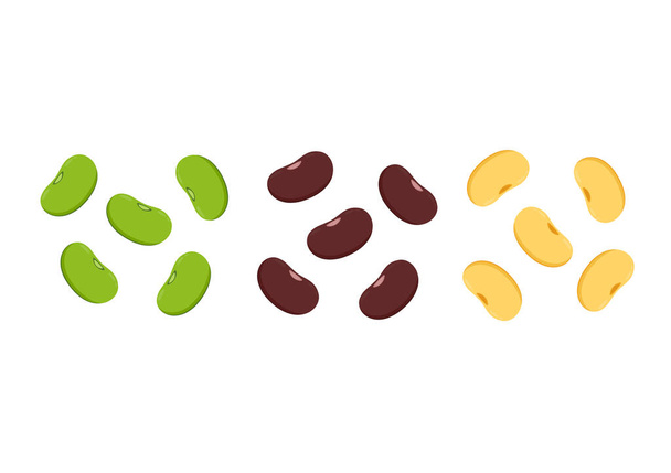 Mung bean, Kidney bean and Soy bean on white background. - Vector, Image