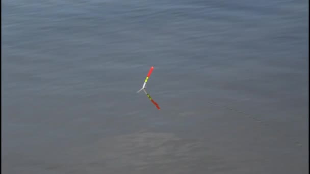 Fishing float on the blue surface of the water - Materiaali, video