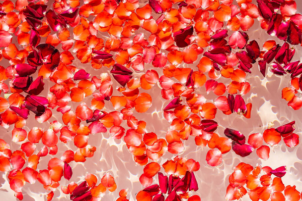 Piros rózsa virág a víz fürdőkád dekoráció belső fürdő és pihenjen - Fotó, kép