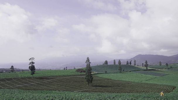 Вид на зеленые насаждения в городе Кангар - Фото, изображение