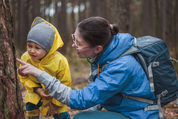 Mom and child walking in the forest after the rain in raincoats together, looking at the bark of a tree - Valokuva, kuva