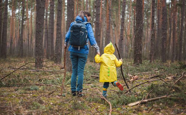 Mutter und Kind spazieren nach dem Regen im Regenmantel mit Holzstöcken in der Hand durch den Wald, Rückseite - Foto, Bild