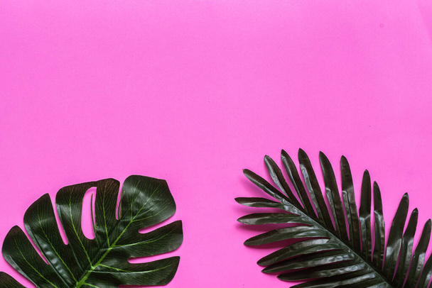 Tropical green leaf on pink background copy space - Фото, изображение