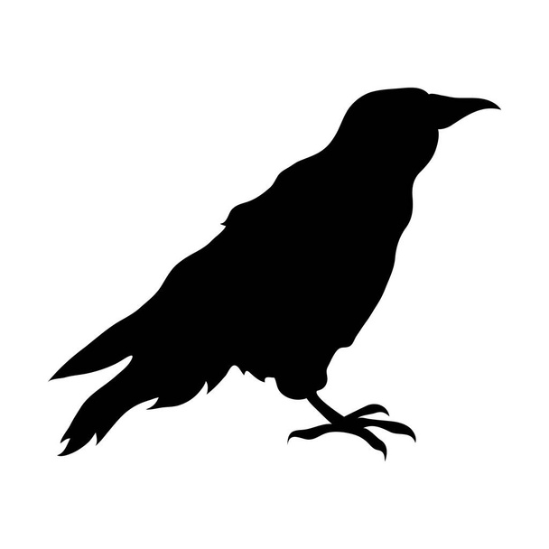 Ravens black silhouette. Vector illustration isolated on white background EPS 10 - Vector, Image