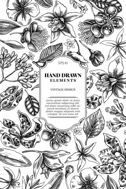 Card design with black and white laelia, feijoa flowers, glory bush, papilio torquatus, cinchona, cattleya aclandiae - Vektor, Bild