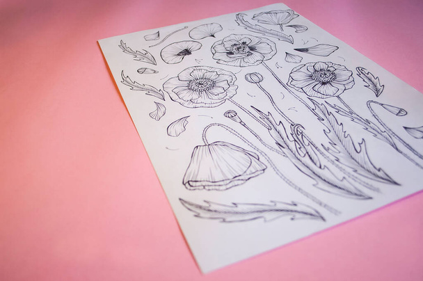 disegno penna grafica rosa sfondo mockup a4 - Foto, immagini