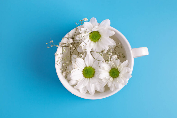 camomila flores silvestres em uma xícara branca em um fundo azul. fotografia criativa. vista superior. - Foto, Imagem