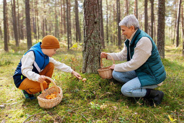 grandmother and grandson with mushrooms in forest - Фото, изображение