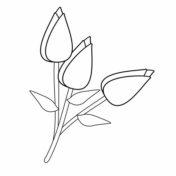 Flower illustration. vector illustration isolated on white background - Vettoriali, immagini