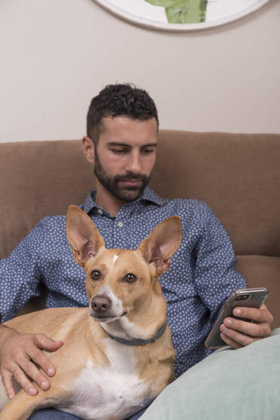 άντρας που κοιτάζει το κινητό με το σκύλο του, νεαρός άνδρας με γενειάδα κάθεται στον καναπέ με ένα σκυλί στην κορυφή, κοιτάζει το κινητό - Φωτογραφία, εικόνα