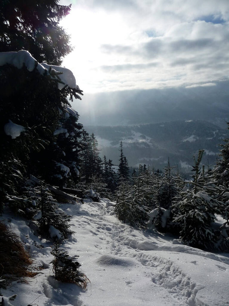 Bergpanorama in den bayerischen Alpen, im Winter - Foto, Bild