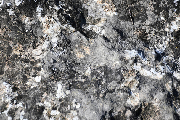 Texturas y fondos de piedra y roca de alta calidad. Conjuntos de colores negro, gris, azul y amarillo. texturas oxidadas. - Foto, imagen