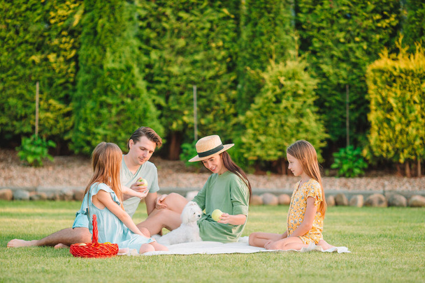 Gelukkige familie op een picknick in het park op een zonnige dag - Foto, afbeelding