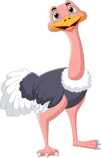 lindo avestruz dibujos animados aislados sobre fondo blanco - Vector, imagen