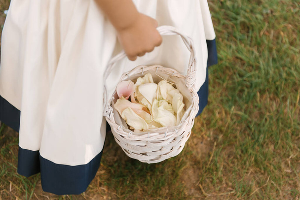 A basket with white rose petals in the hands of a little girl - Φωτογραφία, εικόνα