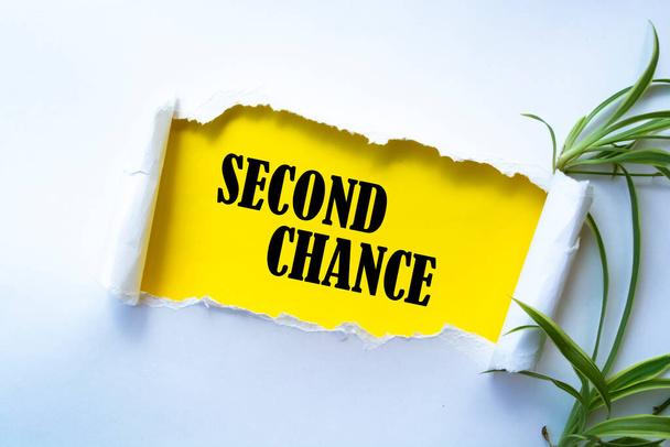 Text sign showing SECOND CHANCE - Photo, Image